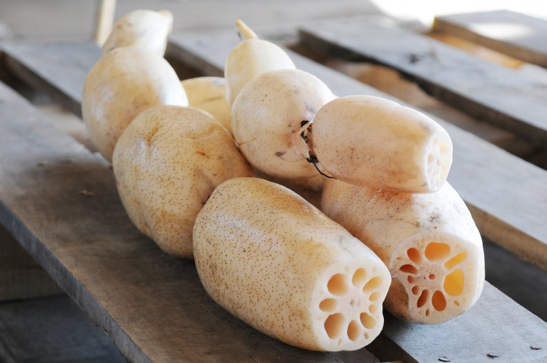 cách chọn củ sen