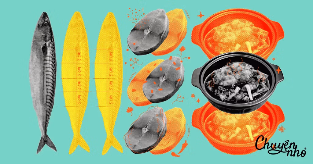 fb fish0.webp scaled