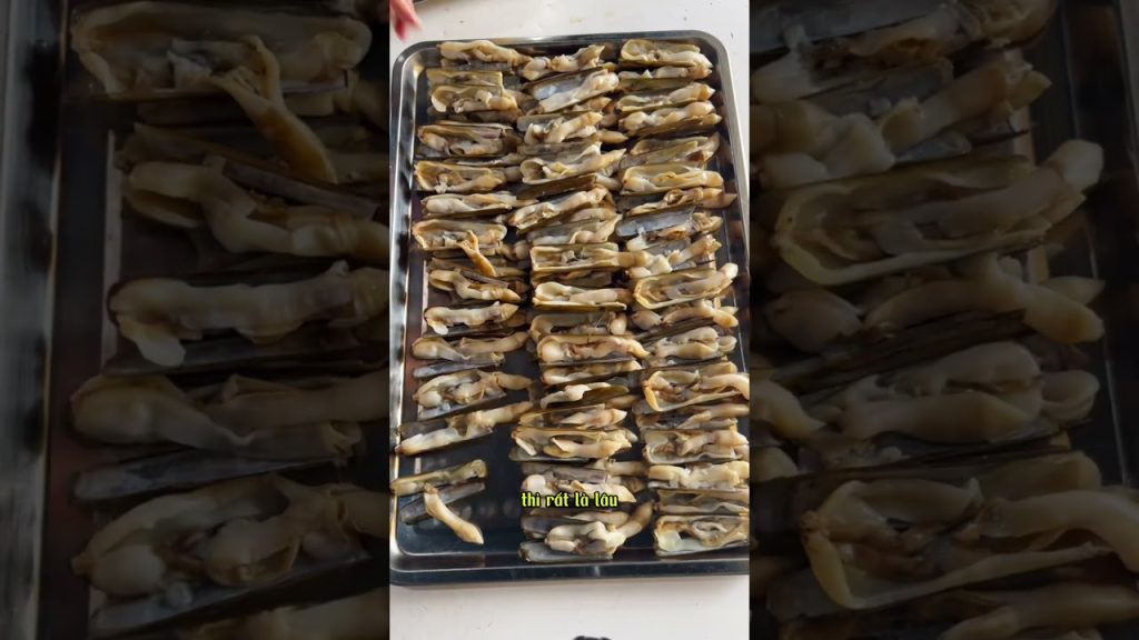 1753599483 maxresdefault