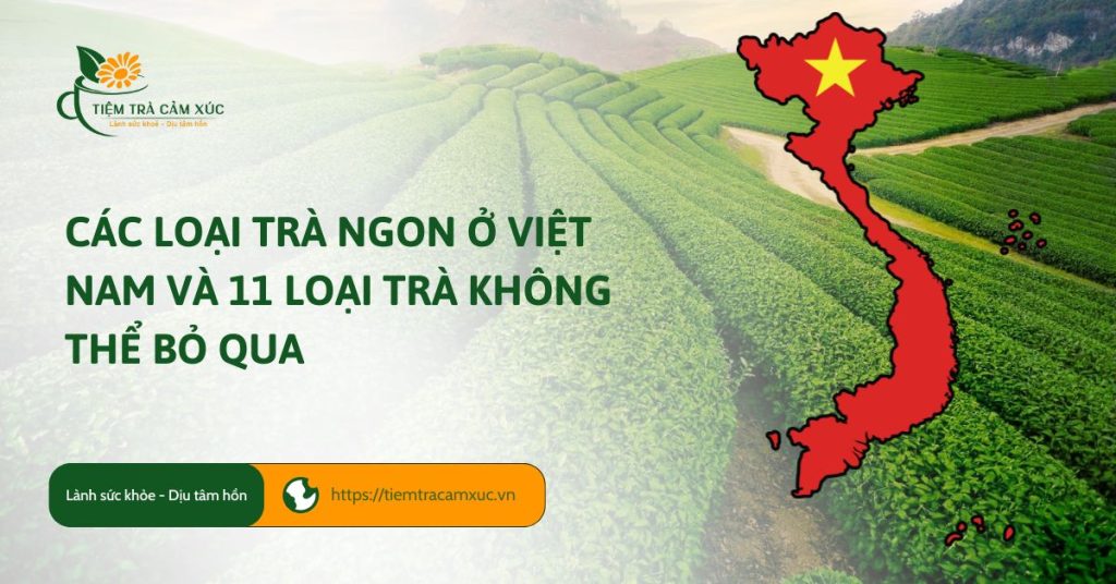 CAC LOAI TRA NGON O VIET NAM