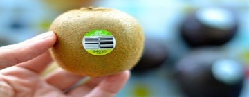 Organic là gì? Vì sao nên sử dụng thực phẩm hữu cơ? Kiểm tra tem và mã code 5 số trên thực phẩm Organic