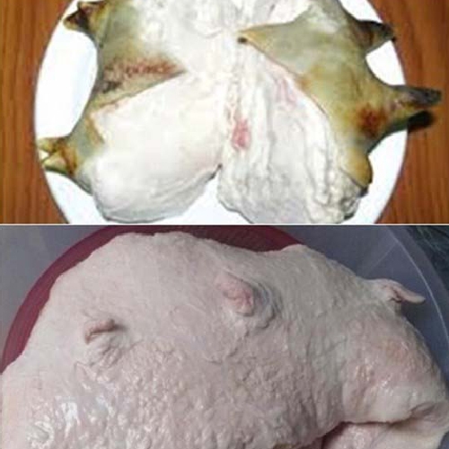 Cách nhận biết nầm dê thật và giả