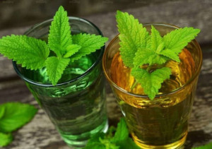 hinh anh tra tia to dat 2