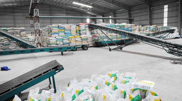 Một dây chuyền sản xuất gạo sạch tại Đồng Tháp