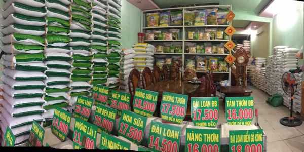 Một cửa hàng gạo được bố trí cơ bản nhưng vẫn sạch sẽ và đẹp mắt