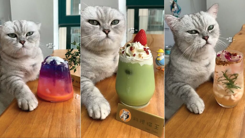 1760639695 maxresdefault