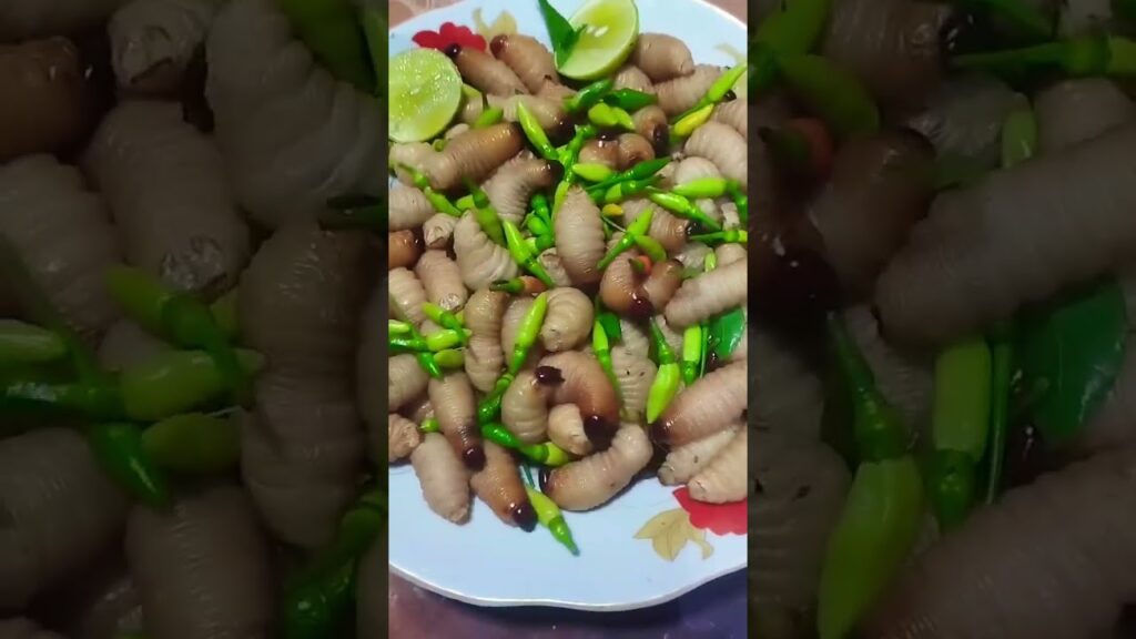 1761029437 maxresdefault