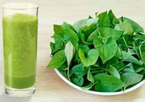 Nuoc ep Diep ca nguyen chat