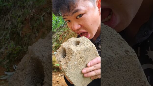 1764880884 maxresdefault