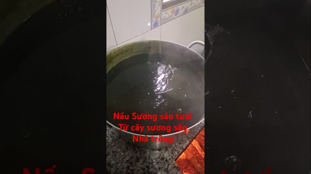 Cách nấu sương sáo tươi, công thức nấu bán, nấu ăn nhà đều ngon. 1765963299 maxresdefault