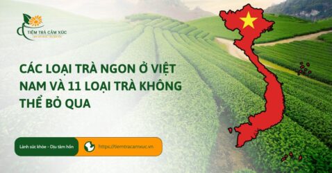 da2d689e2df3fd0dd5c89400f00e3dd1