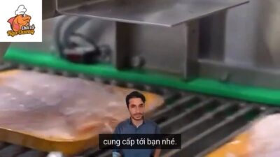 4. Cách nuôi chuột tre; chuột chũi, nhím; Dây truyền, máy móc chế biến xúc xích