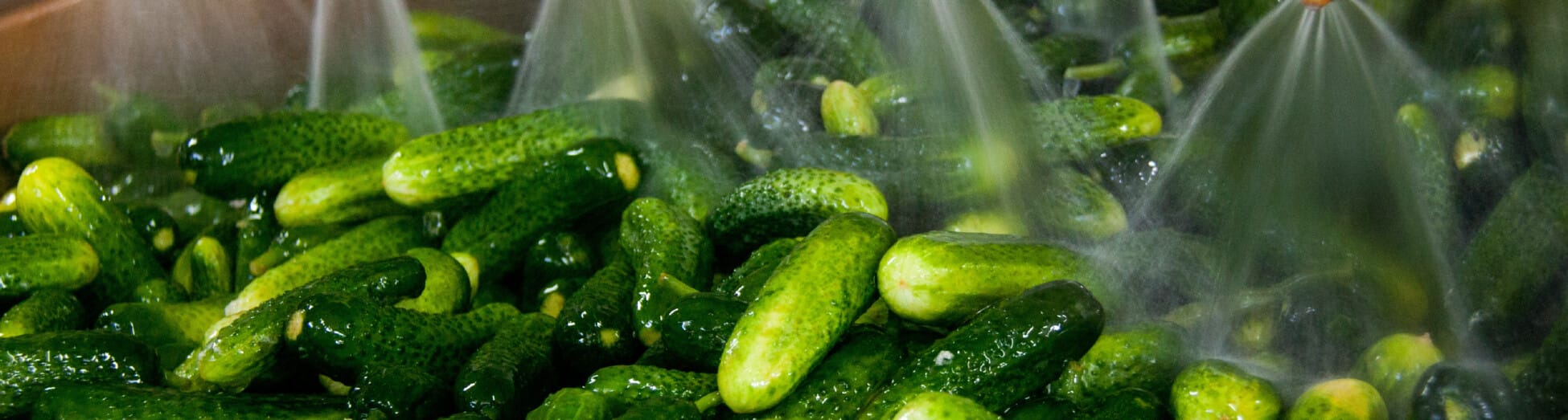 67039cdccba54 bp cover image