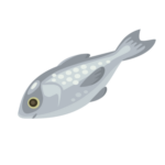 Logo nhóm của Hải sản